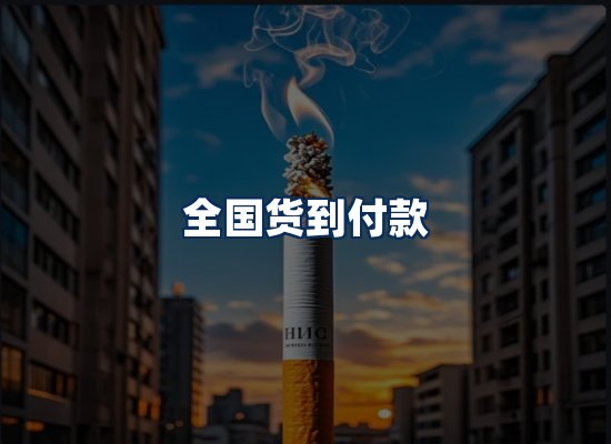 专业团队办公环境